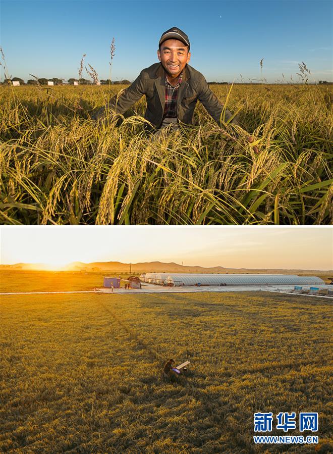 （新華全媒頭條&middot;圖文互動）（10）最年輕的節日 最悠久的牽念&mdash;&mdash;寫給首個中國農民豐收節