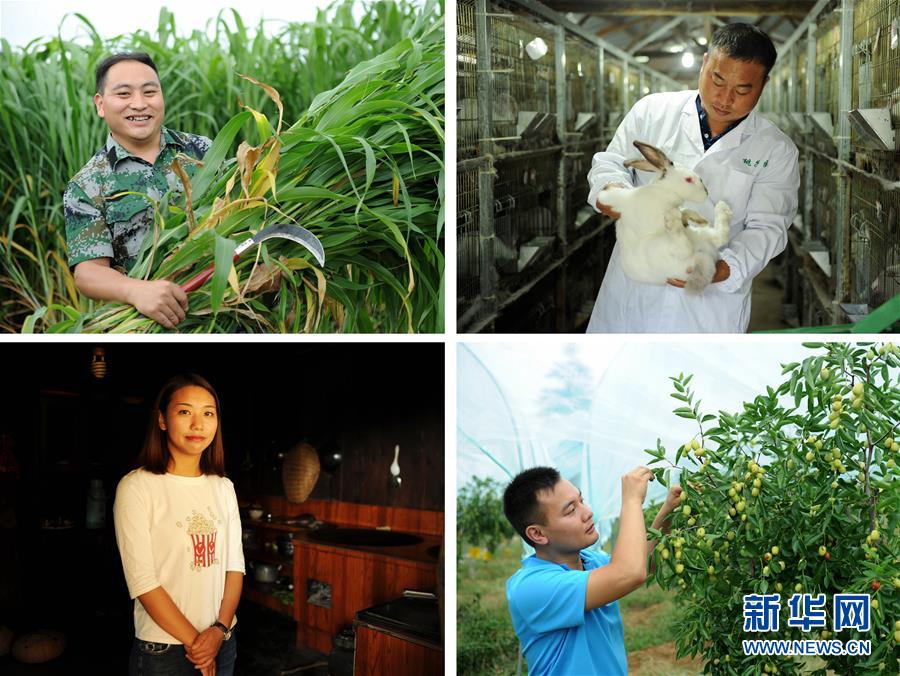 (在習(xí)近平新時代中國特色社會主義思想指引下——新時代新作為新篇章·圖文互動)(7)三年村干部 一世農(nóng)村情——記貴州石阡農(nóng)村扶貧干部