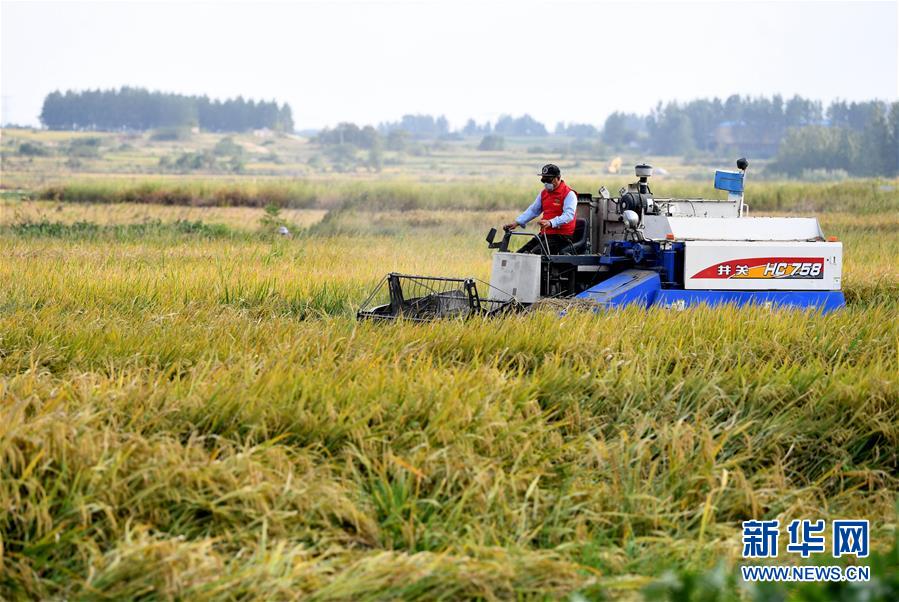 (新華全媒頭條·壯闊東方潮 奮進新時代——慶祝改革開放40年·圖文互動)(9)小崗,與時代同行——“中國農村改革第一村”40年變遷的改革啟示