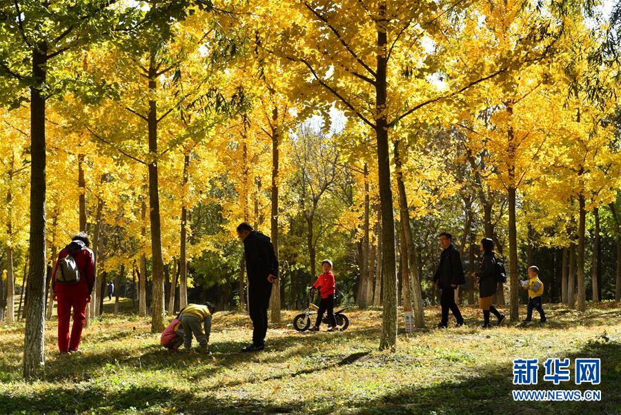 (百城百縣百企調(diào)研行·圖文互動(dòng))(2)生態(tài) 文明 宜居——北京城市副中心未來(lái)之城正在崛起