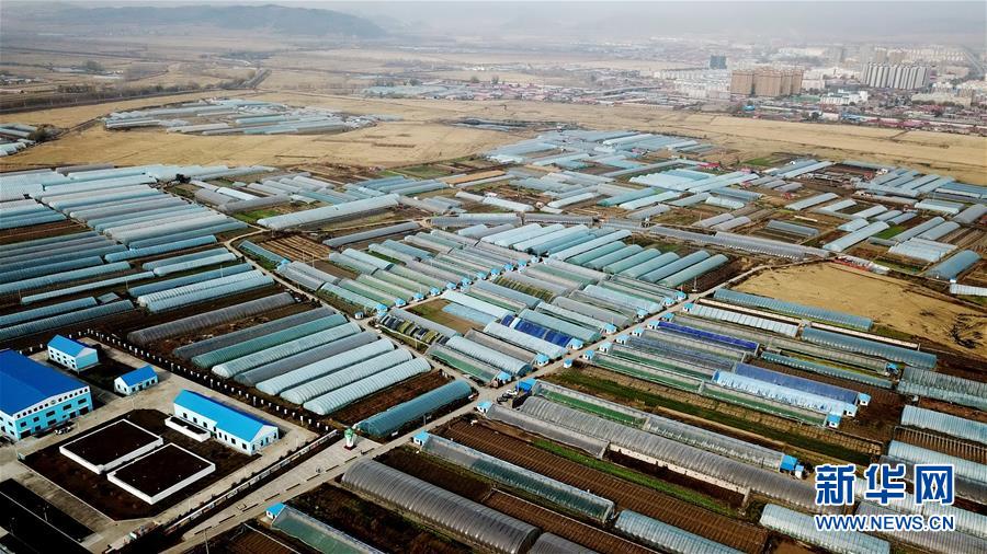 (百城百縣百企調研行·圖文互動)(1)瞧瞧這些村咋富起來的——黑龍江省牡丹江市發展特色精品農業促農增收