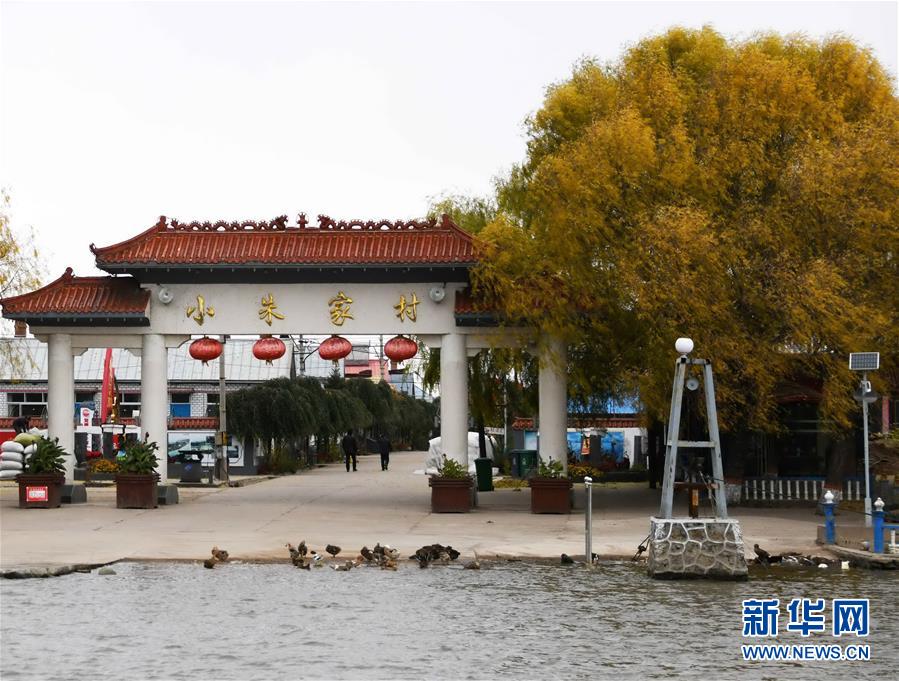 (百城百縣百企調研行·圖文互動)(4)瞧瞧這些村咋富起來的——黑龍江省牡丹江市發展特色精品農業促農增收