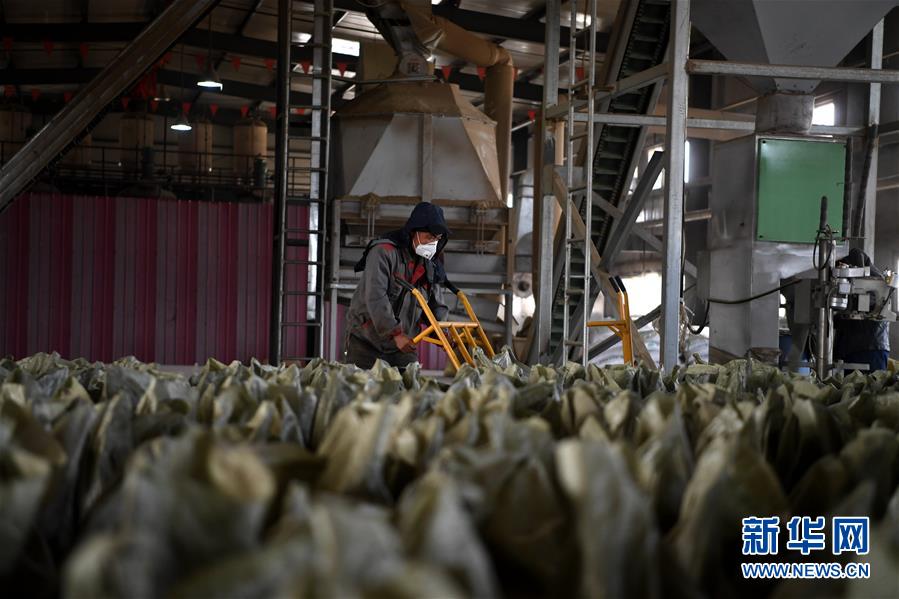 （在習(xí)近平新時(shí)代中國(guó)特色社會(huì)主義思想指引下——新時(shí)代新氣象新作為·鄉(xiāng)村振興戰(zhàn)略·圖文互動(dòng)）（1）“與其放火，不如打包”——山西渾源秸稈綜合再利用見(jiàn)聞