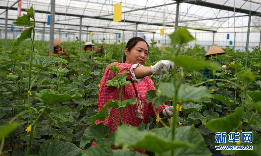 (新華全媒頭條·圖文互動)(11)心中有夢想,腳下就有力量——寫在“中國夢”提出六周年之際