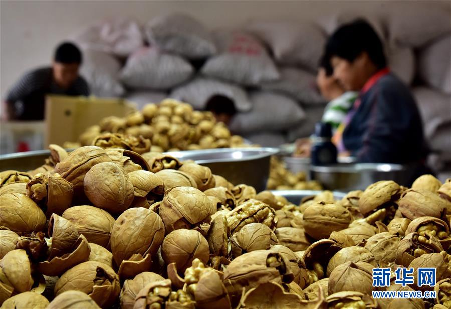 (新華全媒頭條·圖文互動)(12)心中有夢想,腳下就有力量——寫在“中國夢”提出六周年之際