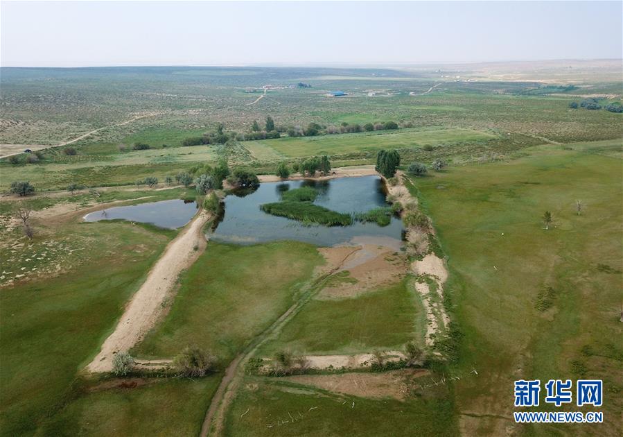 (新華全媒頭條·圖文互動)(14)心中有夢想,腳下就有力量——寫在“中國夢”提出六周年之際