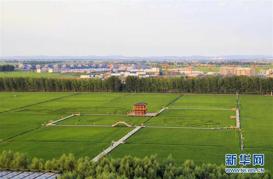 （慶祝改革開放40周年基層行·鄉鎮篇·圖文互動）（3）三產融合培育鄉村振興熱土——吉林孤店子鎮“村變城”背后的故事