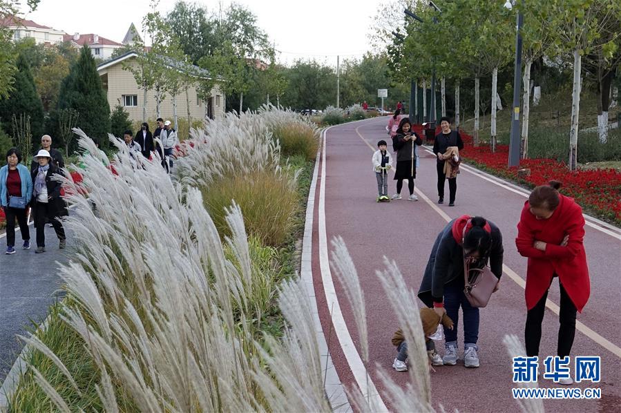 (新華全媒頭條·圖文互動(dòng))(5)復(fù)蘇的河流——北京涼水河再調(diào)查