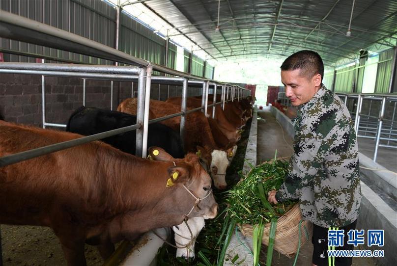 （輝煌60年&middot;壯美新廣西&middot;圖文互動）（7）奮力書寫壯鄉反貧困歷史新篇章&mdash;&mdash;廣西干部群眾接續奮斗脫貧攻堅觀察
