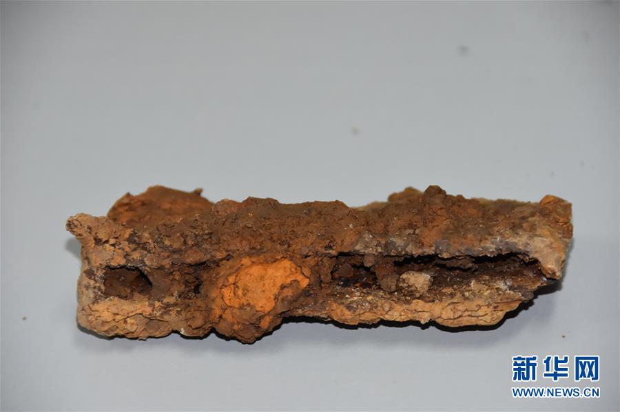 (圖文互動)(6)陜西考古發現戰國時期大型祭祀遺址