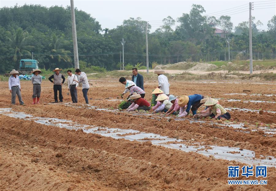 （新華視點·回望2018·圖文互動）（7）2018年新華社曝光多起破壞生態事件，記者年底追訪發現……