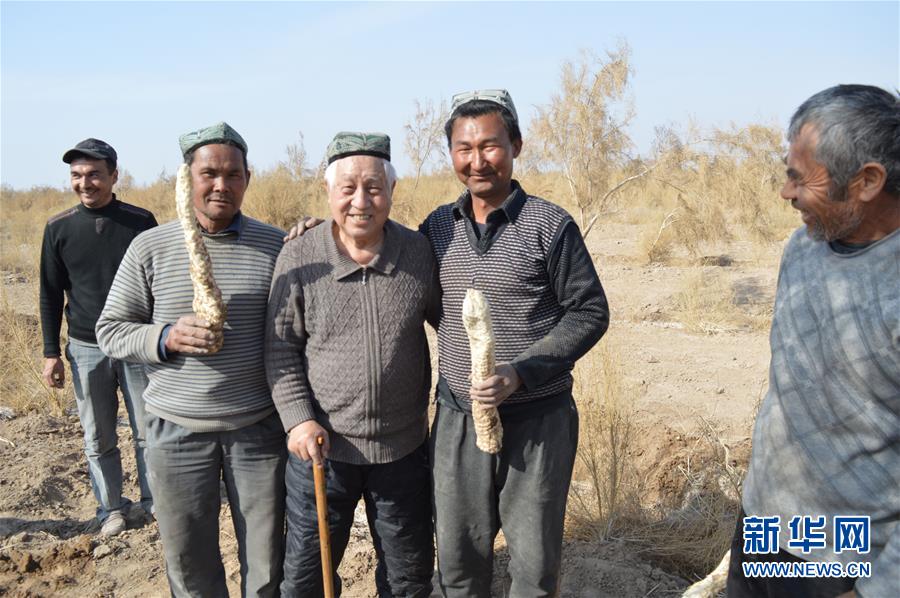 (圖文互動)(3)“劉紅柳”,一輩子大漠扎根種樹