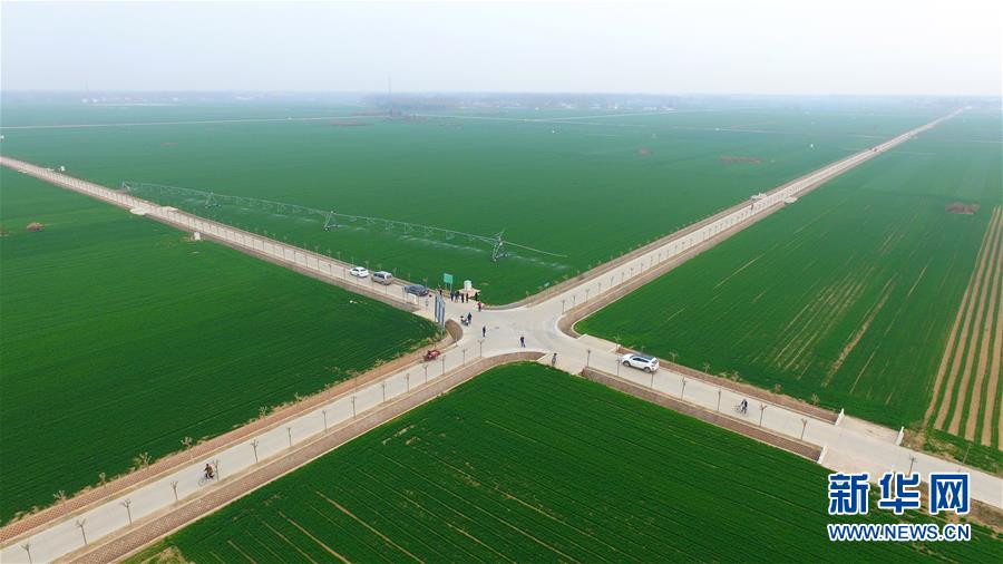 (來自一線的調查報告·圖文互動)(1)從“填飽肚子”到“過好日子”——改革開放40年河南農業(yè)三重“蝶變記”
