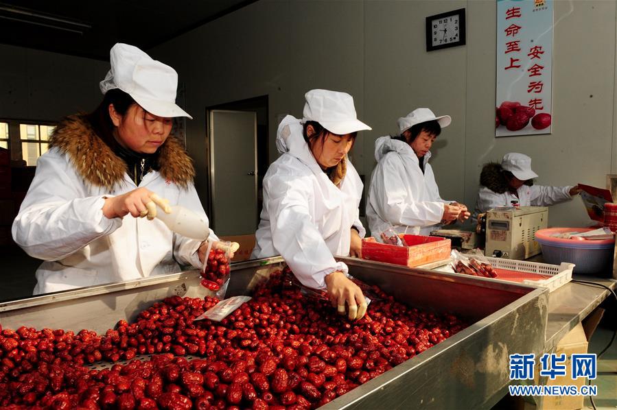 (來自一線的調查報告·圖文互動)(2)從“填飽肚子”到“過好日子”——改革開放40年河南農業(yè)三重“蝶變記”