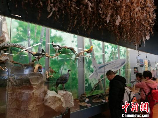 圖為展覽現場?！『h航 攝