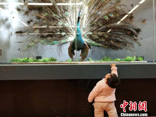 圖為展覽現場?！『h航 攝