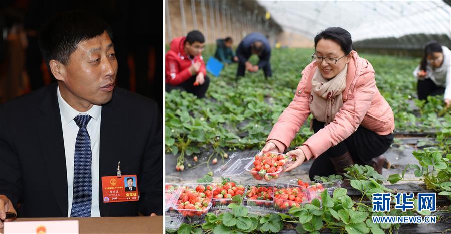 (兩會·影像鏈接)全國人大代表唐廷波:加強(qiáng)落實(shí)強(qiáng)農(nóng)惠農(nóng)政策 增加農(nóng)民收入