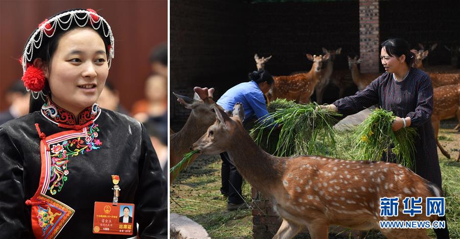 (兩會·影像鏈接)全國人大代表雷金玉:努力吸引人才 推動鄉(xiāng)村振興