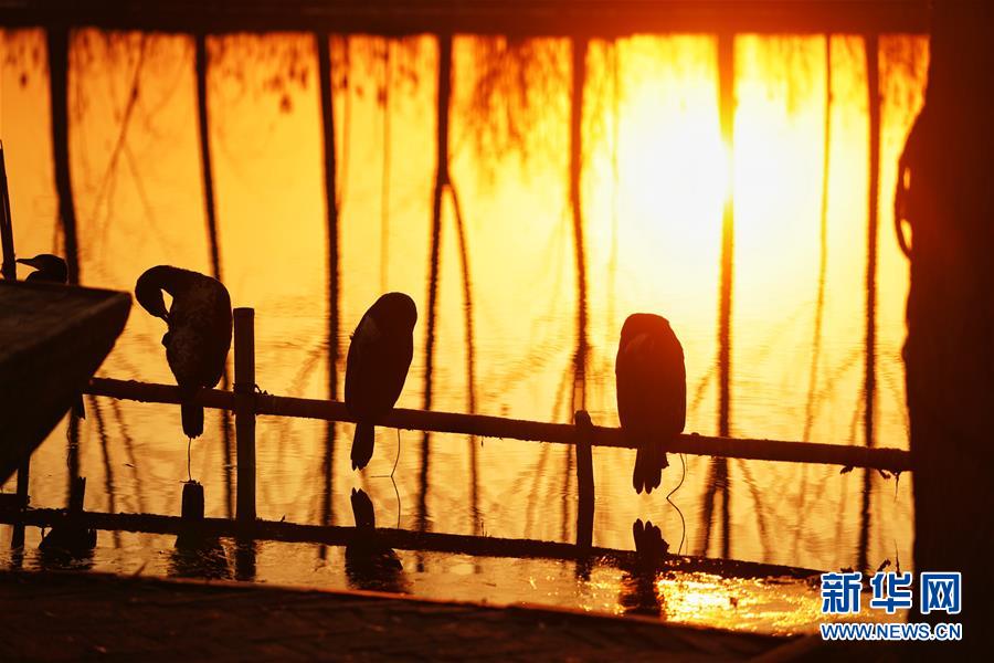 (圖文互動)(8)國務(wù)院批復(fù)同意《河北雄安新區(qū)總體規(guī)劃(2018—2035年)》