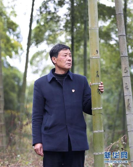 (改革先鋒風采·圖文互動)(1)鮑新民:“綠水青山就是金山銀山”理念的踐行者