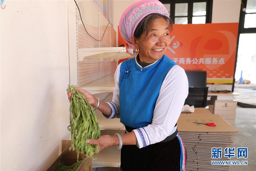 (新春走基層·圖文互動)(2)“蒜農”不種蒜 買蒜過除夕——洱海農業綠色轉型見聞