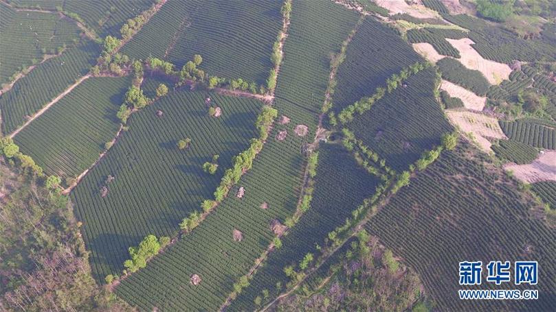 (兩會前夕看落實·圖文互動)(9)綠色發展引領 守護“魚米之鄉”——江蘇落實習近平總書記全國兩會重要講話精神紀實