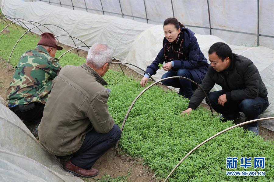 (兩會(huì)前夕看落實(shí)·圖文互動(dòng))(1)奮力脫貧攻堅(jiān) 生態(tài)追“清”逐“綠”——江西落實(shí)習(xí)近平總書(shū)記全國(guó)兩會(huì)重要講話(huà)精神紀(jì)實(shí)