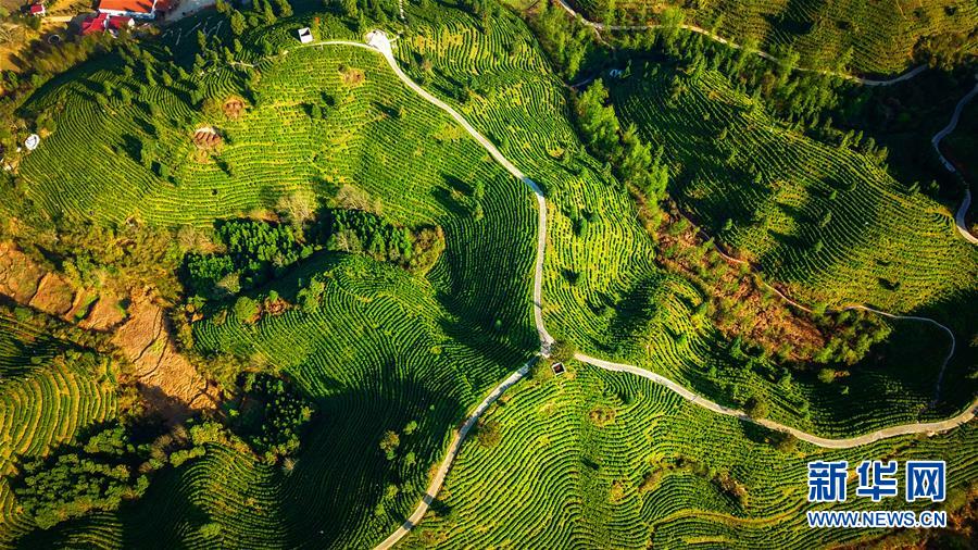 (兩會(huì)前夕看落實(shí)·圖文互動(dòng))(5)奮力脫貧攻堅(jiān) 生態(tài)追“清”逐“綠”——江西落實(shí)習(xí)近平總書(shū)記全國(guó)兩會(huì)重要講話(huà)精神紀(jì)實(shí)