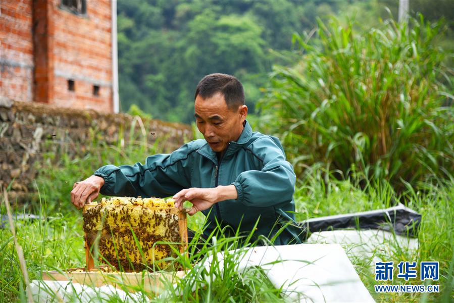 (兩會(huì)前夕看落實(shí)·圖文互動(dòng))(7)奮力脫貧攻堅(jiān) 生態(tài)追“清”逐“綠”——江西落實(shí)習(xí)近平總書(shū)記全國(guó)兩會(huì)重要講話(huà)精神紀(jì)實(shí)