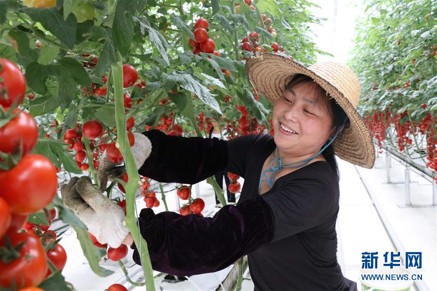 (兩會(huì)前夕看落實(shí)·圖文互動(dòng))(8)奮力脫貧攻堅(jiān) 生態(tài)追“清”逐“綠”——江西落實(shí)習(xí)近平總書(shū)記全國(guó)兩會(huì)重要講話(huà)精神紀(jì)實(shí)