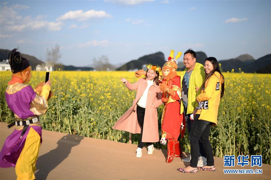 （在習近平新時代中國特色社會主義思想指引下——新時代新作為新篇章·圖文互動）（3）高原春來早 云嶺開新篇 