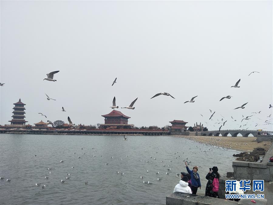 (新華全媒頭條·圖文互動)(6)滄海桑田一指間——6個村莊的70年巨變