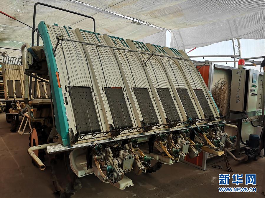 (在習近平新時代中國特色社會主義思想指引下——新時代新作為新篇章·圖文互動)(2)黑土地上感受“中國飯碗”新變化