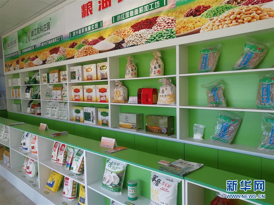 (在習近平新時代中國特色社會主義思想指引下——新時代新作為新篇章·圖文互動)(4)黑土地上感受“中國飯碗”新變化