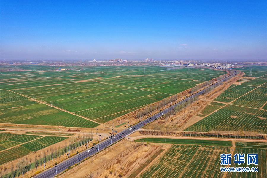 （新華全媒頭條·圖文互動）（2）奮進，向著未來之城！——河北雄安新區建設發展兩周年紀實