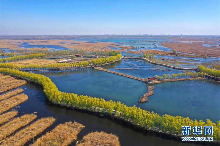 （新華全媒頭條·圖文互動）（5）奮進，向著未來之城！——河北雄安新區建設發展兩周年紀實