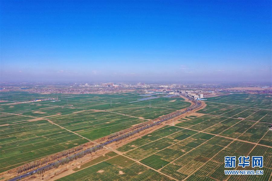 （新華全媒頭條·圖文互動）（6）奮進，向著未來之城！——河北雄安新區建設發展兩周年紀實