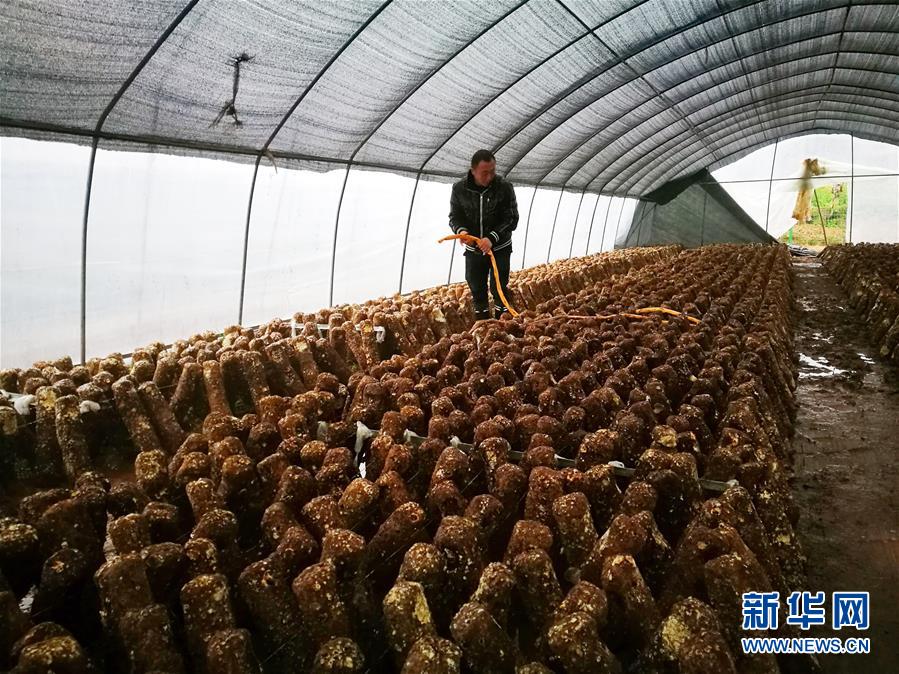 (新華全媒頭條·圖文互動)(1)以生命赴使命 用熱血鑄忠魂——記犧牲在脫貧攻堅戰場上的英雄們