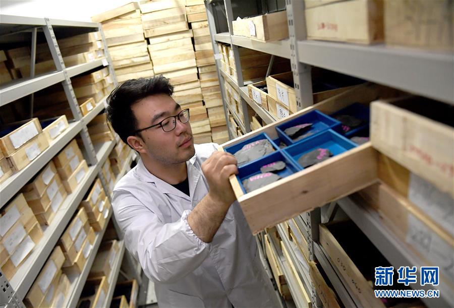 (新華全媒頭條·圖文互動)(4)探尋5億年前“生命大爆炸”之奧秘——中國科學家發現寒武紀“化石寶庫”清江生物群紀實