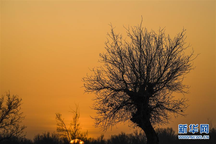 (新華全媒頭條·圖文互動)(2)一步千年,“最后的沙漠部落”遷入新家園