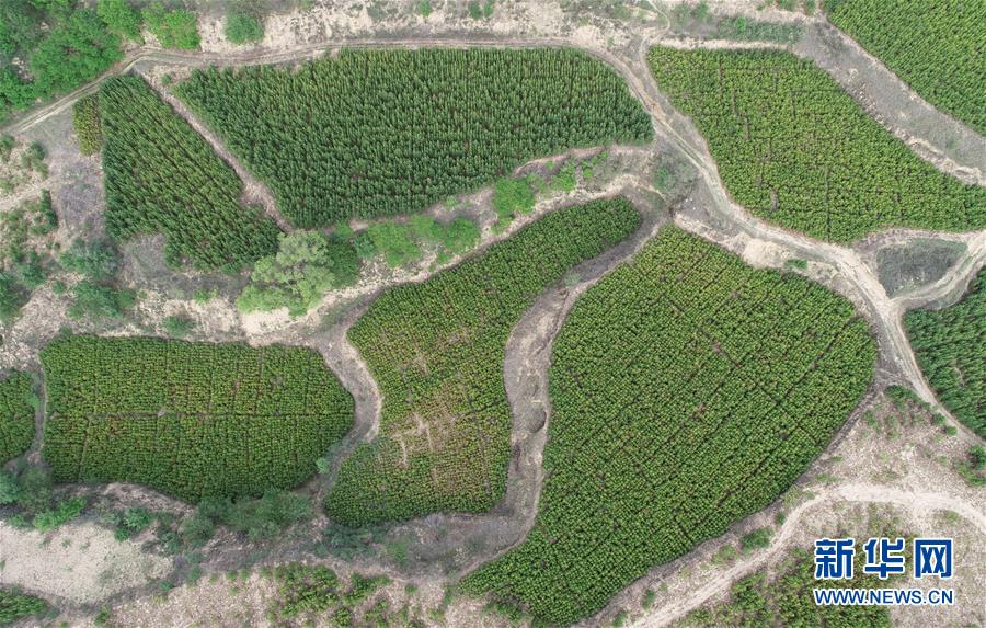 (新華全媒頭條·北京世園會·圖文互動)(8)共繪人類生態文明美麗畫卷——從北京世園會看中國綠色發展的“世界貢獻”