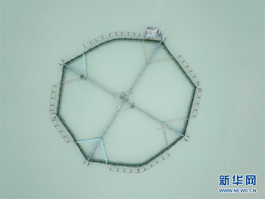 (壯麗70年·奮斗新時代·圖文互動)(5)“東海明珠”挺立一座“精神燈塔”——追尋浙江臺州大陳島墾荒精神