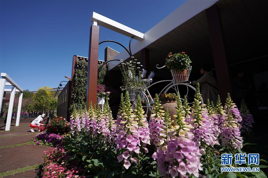 (北京世園會)(2)北京世園會迎來“天津日”