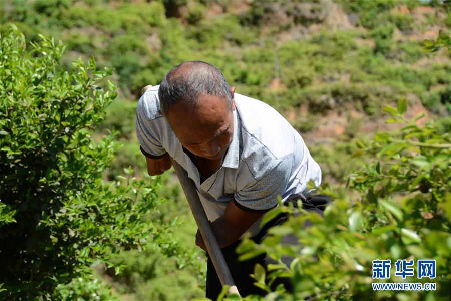 (壯麗70年·奮斗新時(shí)代·圖文互動(dòng)）（1）福建長(zhǎng)?。簱Q顏“山光水濁” 永駐綠水青山