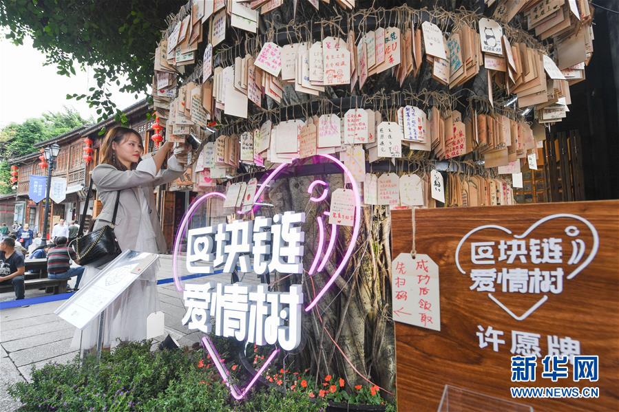 (新華全媒頭條·圖文互動)(9)從“數(shù)字中國”看中國發(fā)展新信號、新亮點、新趨勢