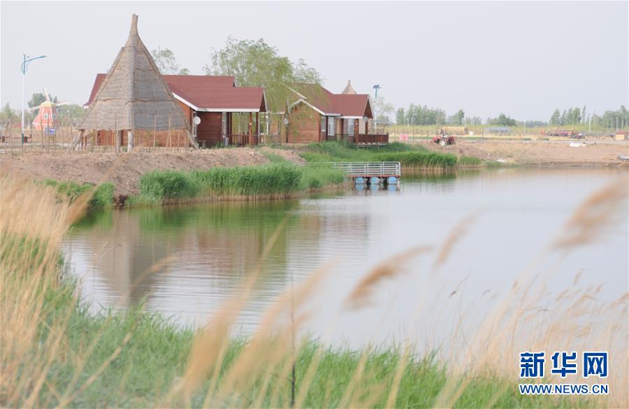 （北京世園會&middot;圖文互動）（4）&ldquo;百湖之鄉&rdquo;磴口縣再現生態田園風光