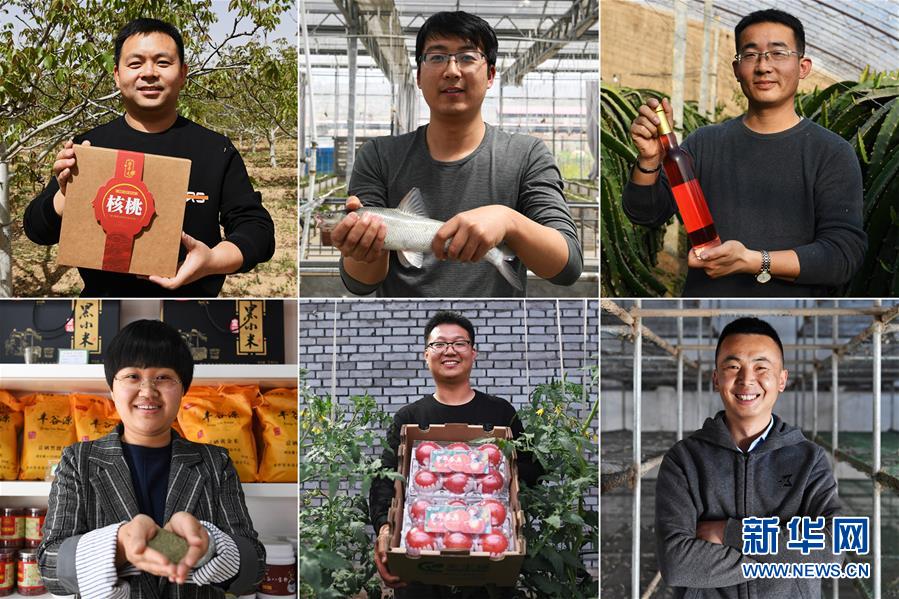 (在習(xí)近平新時(shí)代中國(guó)特色社會(huì)主義思想指引下——新時(shí)代新作為新篇章·圖文互動(dòng))(1)在綠色田野上書寫青春答卷——幾位“新農(nóng)民”的返鄉(xiāng)創(chuàng)業(yè)故事