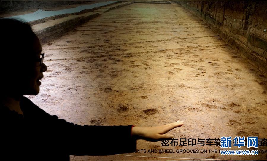 (新華全媒頭條·圖文互動(dòng))(6)“若問古今興廢事,請君只看洛陽城”——千年古都“烹制”博物館盛宴