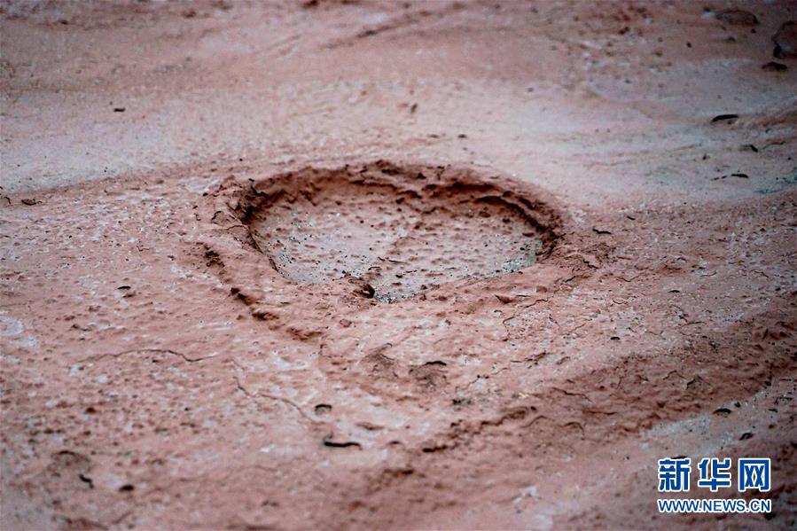 （新華全媒頭條·圖文互動(dòng)）（8）“若問(wèn)古今興廢事，請(qǐng)君只看洛陽(yáng)城”——千年古都“烹制”博物館盛宴