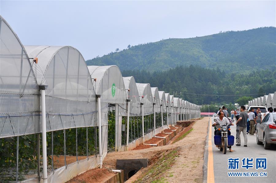 （新華全媒頭條&middot;圖文互動）（6）奮力走好新時代的長征路&mdash;&mdash;習近平總書記考察江西回訪記